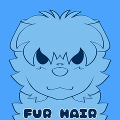 (C) Fur Hair
