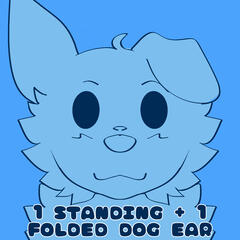 (C) Standing + Folded