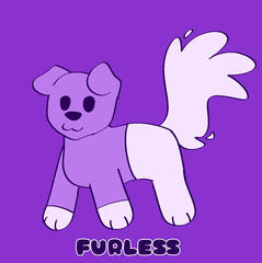 (R) Furless