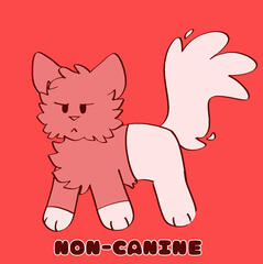 (M) Non-Canine